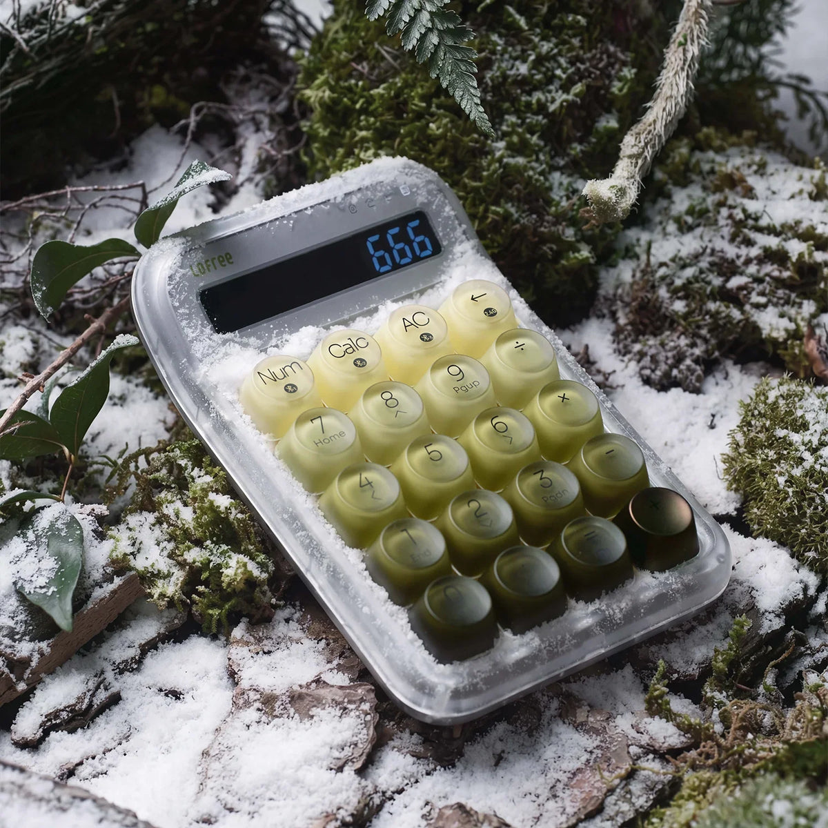 432Hz Polar Moss Tri-Mode Wireless Numpad